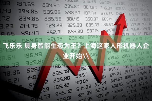 飞乐乐 具身智能生态为王？上海这家人形机器人企业开始\