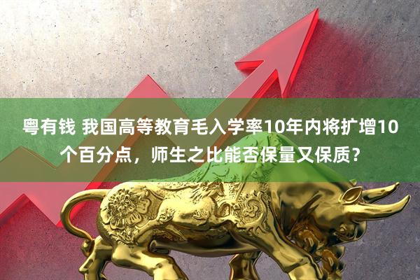 粤有钱 我国高等教育毛入学率10年内将扩增10个百分点，师生之比能否保量又保质？