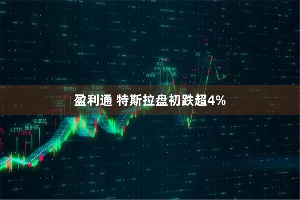 盈利通 特斯拉盘初跌超4%