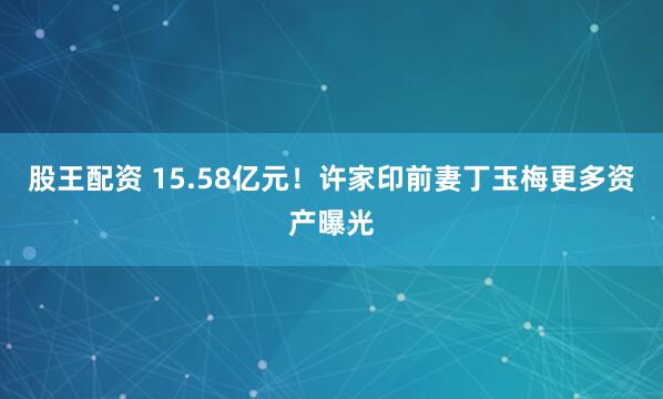 股王配资 15.58亿元!许家印前妻丁玉梅更多资产曝光