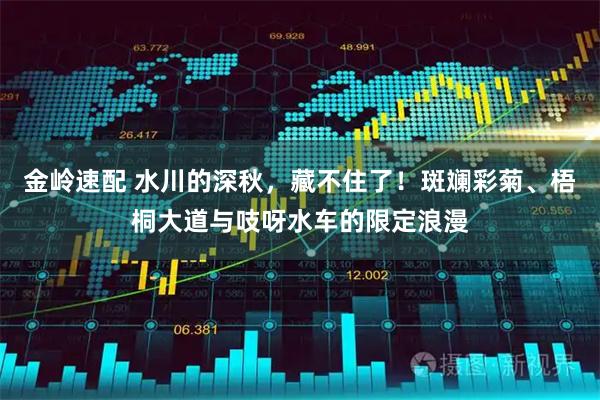 金岭速配 水川的深秋，藏不住了！斑斓彩菊、梧桐大道与吱呀水车的限定浪漫