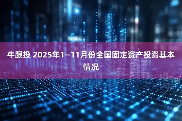 牛跟投 2025年1—11月份全国固定资产投资基本情况